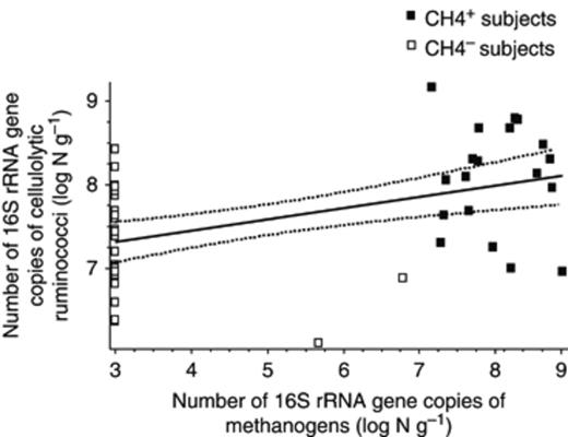 Correlation between human cellulolytic ruminococci and methanogen populations in faecal samples from methane-producing (CH4+) and non-methane-producing (CH4−) faecal samples (n=49), estimated by quantitative real-time PCR.
