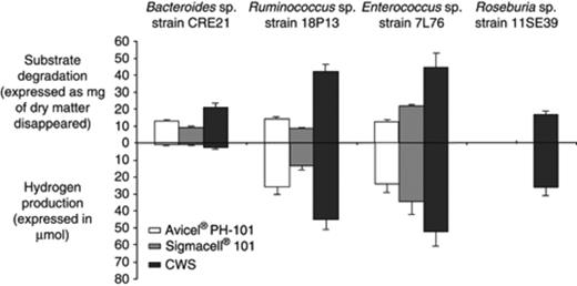 Cellulose or CWS disappearance and production of H2 by Bacteroides sp., Ruminococcus sp., Enterococcus sp. and Roseburia sp. after 10 days of incubation at 37°C. Substrate degradation is expressed as mg of dry matter disappeared and H2 production in μmol.