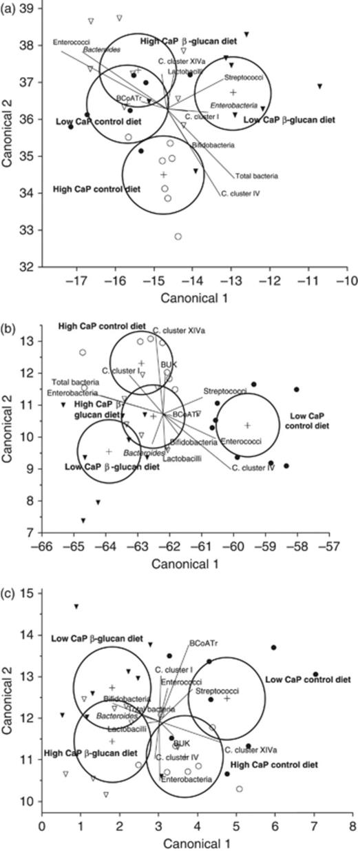 Linear discriminant analysis of the control and oat β-glucan diets with low and high CaP content and data from qPCR, in stomach (a), caecum (b) and colon (c): low CaP control diet (●), high CaP control diet (○), low CaP oat β-glucan diet (▾) and high CaP oat β-glucan diet (▿). Circles indicate 95% confidence intervals. BUK, butyrate kinase; BCoATr, butyryl-CoA:acetate CoA-transferase. n=8 per diet.