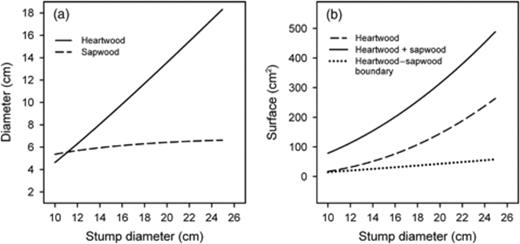 Predicted heartwood and sapwood diameter (a) and surface (b) according to Wilhelmsson (2002), and predicted surface of the heartwood–sapwood boundary area where Heterobasidion annosum s.l. airborne infections are typically observed (Bendz-Hellgren & Stenlid, 1998).