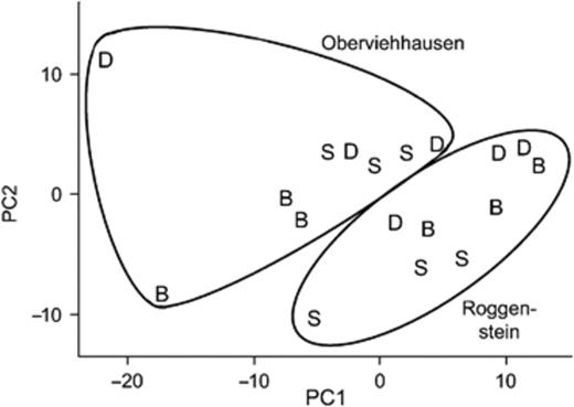 PCA of the PhyloChip data from the potato rhizosphere samples of the cultivars ‘Baltica’ (B), ‘Désirée’ (D) and ‘Sibu’ (S) grown at the field sites in Roggenstein and Oberviehhausen. The first and second principal components represented 61% and 20% of the total variance.
