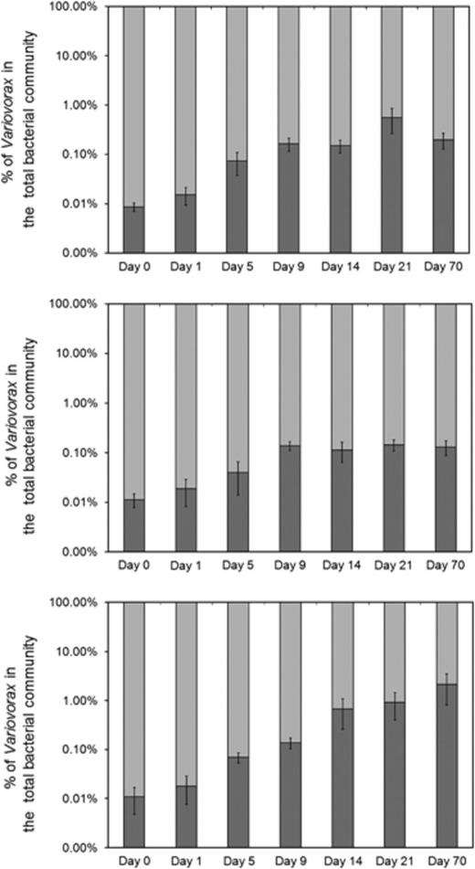 Dynamics of the Variovorax community in linuron-treated SMs. Community sizes were determined by real-time PCR in SMs containing agricultural soil without linuron (top), with a single linuron treatment (middle) or with a discontinuous linuron treatment (bottom). Duplicate measurements were performed on three replicates for each SM treatment. The numbers on the X-axis (log scale) show the day of incubation at which the samples were taken. The numbers on the Y-axis show the percentage of Variovorax (dark grey) in the total bacterial community (soft grey), based on the number of Variovorax and bacterial 16S rRNA gene copies as determined by real-time PCR. The SD is presented on the bars. anova was used to trace significant differences between treatments and time points (P<0.05).