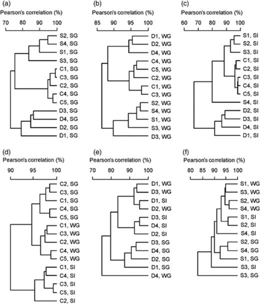 Similarities of DGGE profiles of ruminal archaea in the same group of cattle (C1–C5), red deer (D1–D4) and sheep (S1–S4) fed summer pasture (SG), winter pasture (WG) and silage (SI). Each panel represents the similarities of band patterns of lanes on a separate DGGE gel. (a) Cattle, red deer and sheep fed summer pasture. (b) Cattle, red deer and sheep fed winter pasture. (c) Cattle, red deer and sheep fed silage. (d) Cattle fed summer pasture, winter pasture and silage. (e) Red deer fed summer pasture, winter pasture and silage. (f) Sheep fed summer pasture, winter pasture and silage.