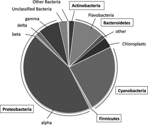 Phylogenetic analysis of bacterial 16S rRNA gene sequences (N = 4114) obtained by 454-based pyrosequencing of 16S PCR products. Class-level phylogenetic distribution is shown.