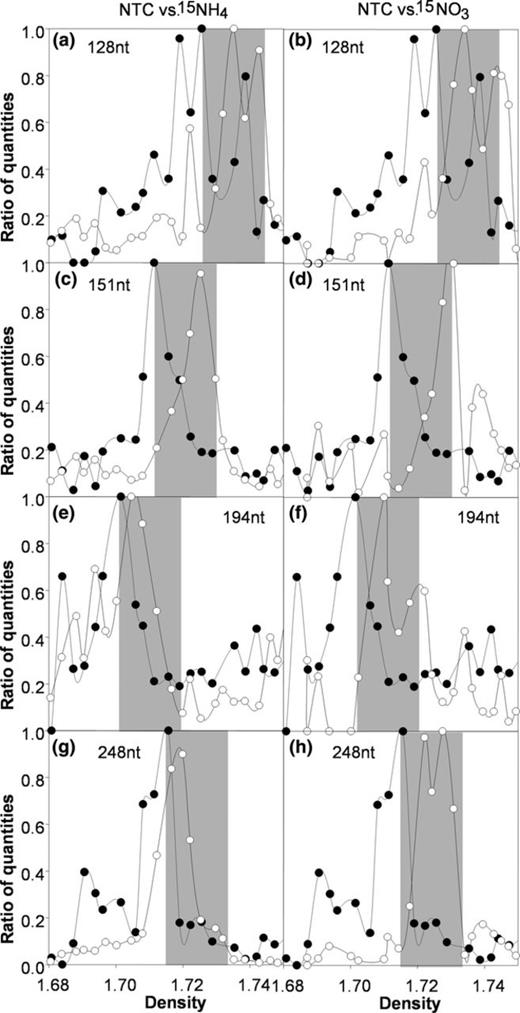 Analysis of TRFs detected in each density fraction of (●) ambient community DNA (NTC = no treatment control) and DNA extracted from bottle incubations with (○) 15N ammonium or 15N nitrate. Fragments for which a density shift was observed were plotted as a function of density (x-axis) and relative peak height (y-axis). Peak height was averaged across ± 1 nt to account for small sizing errors and then normalized to the highest detected signal. The width of gray boxes indicates the expected density shift for 100% labeling of DNA with 15N. The gray boxes are aligned on the left with the maximum peak height of ambient control DNA (NTC). Shown are ratios of quantities, which are calculated by dividing the peak height in each fraction by the highest value measured in any of the fractions obtained in a given CsCl column.