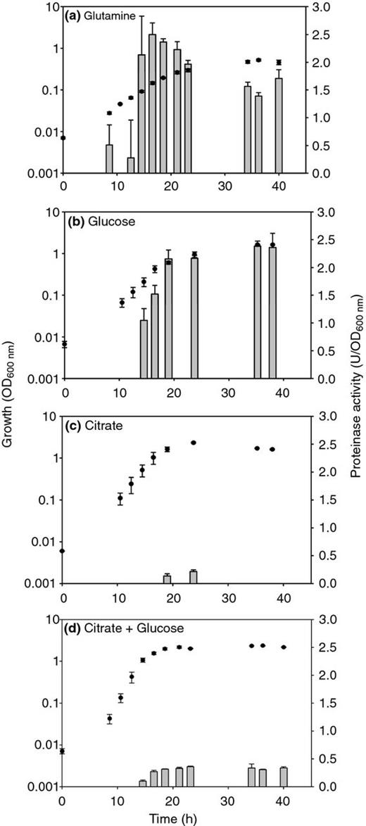 Proteinase activity of Pseudomonas fluorescens strain ON2-gfp2 during growth in minimal medium supplemented with different carbon sources. (a) Glutamine; (b) Glucose; (c) Citrate; (d) Glucose + Citrate. Growth is represented as OD600 nm (●), whereas proteinase activity is represented as U/OD600 nm (vertical bars). Data shown are mean values. The bars represent the standard deviations.