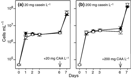 Growth of Pseudomonas fluorescens strain ON2-gfp2 (●) and proteinase-deficient strain ON2-pd5 (o) in lake water microcosms enriched with (a) 20 mg L−1 of casein and (b) 200 mg L−1 of casein. At day 6, the microcosms received 20 or 200 mg L−1 casamino acids (CAA) as indicated by arrows. Data shown are mean values. The bars represent the standard deviations. Data for days 1–7 are obtained by flow cytometry, while data for day 0 are calculated from OD600 nm values of the inoculum using the conversion factor: 1 mL of 0.01 OD600 nm is equivalent to ~ 2 × 107 cells.
