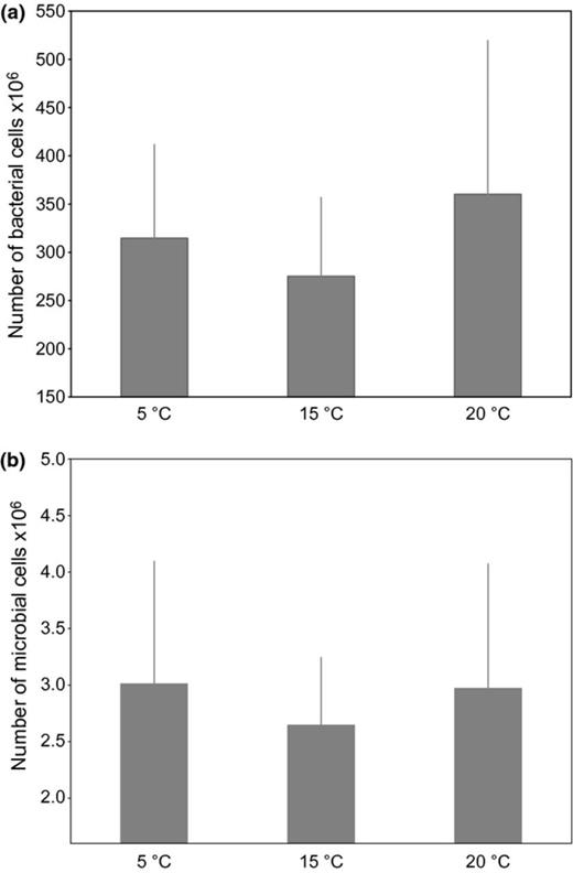 (a) Mean number of bacterial cells and (b) mean number of other microbial cells (mostly diatoms) used in the field attachment assays per temperature level. Cells were enumerated by epifluorescence microscopy. Each bar represents the mean of five replicates per temperature level. Error bars represent 95% CI; N.S.