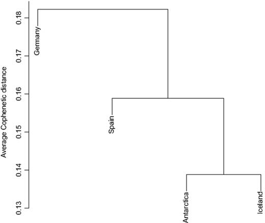 Community classification of the four populations investigated in this study based on the average cophenetic distances between individuals. The bar on the left indicates the value of the cophenetic distances between communities.