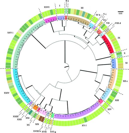 MCC phylogenetic tree showing the relationships between the mycobiont samples studied. Branches in bold are those with a posterior probability (PP) ≥ 0.95. Groups inferred by a genetic distance of 0.02% of dissimilarity and supported by morphological data are separated by dashed lines and denote by roman numerals (correspondences can be found in Table 1). Each sample has associated with the photobiont haplotype found associated (depicted with a color code, corresponding to colors and haplotypes showed in Fig. 3). Conflicts among DNA-based species delimitation methods are depicted by means of letters: a, Carbonea sp. (s217) is included in Carbonea vorticosa (I) using the 0.05 cutoff; b, Austrolecia sp. 2 (s177 and s178) was included in Austrolecia sp. 1 using the 0.05 cutoff; c, Austrolecia sp. 3 (s116) was included in Austrolecia sp. 1 using the 0.05 cutoff; d, Austrolecia sp. 3 (s116) was included in Austrolecia sp. 1 using the 0.05 cutoff and the single GMYC; e, multiple GMYC recognized s169 as a different taxon; f, multiple GMYC split Umbilicaria aprina (XV) as two different taxa; g, neither of the GMYC algorithms nor the 0.05 cutoff were able to recognize Polysporina sp. as a different entity different from Polysporina frigida; h, single GMYC failed to recognize Acarospora cf. nitrophila as an independent entity; i, multiple GMYC split Rhizoplaca macleanii in two taxa.