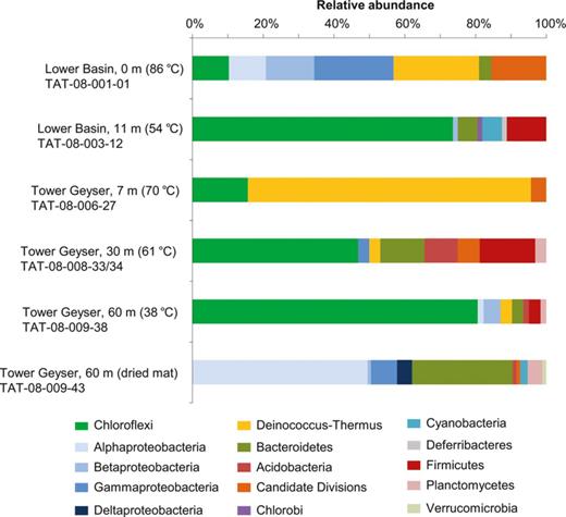 Distribution of major taxonomic groups based on 16S rRNA gene sequence clones, originating from microbial mats in two geyser and discharge stream transects at ETGF, Chile. For each transect, the distances from the geyser feature and water temperatures are noted.