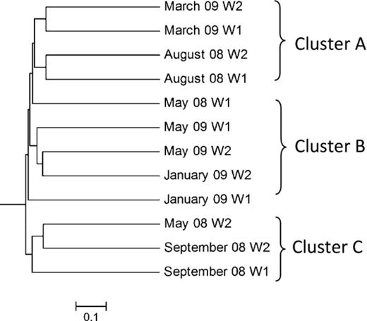 Community similartity dendrogram of biofilm clone libraries by unifrac analysis. W1 and W2 represent 1- and 2-week-old biofilms, respectively. Months and year of each library are indicated.