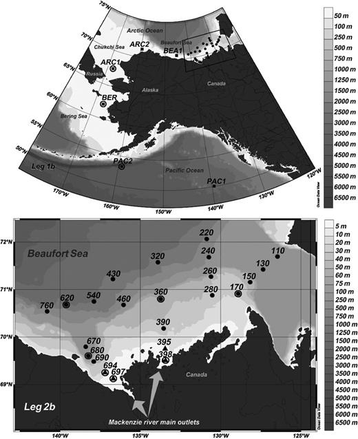 Locations of stations sampled during legs 1b and 2b of MALINA cruise. Leg 1b stations (black squares) were sampled only at the surface; leg 2b stations were sampled at several depths (black dots) or only at the surface (black triangles). Circles indicate stations where pufM clone libraries were constructed. Gray shades correspond to bottom depths.