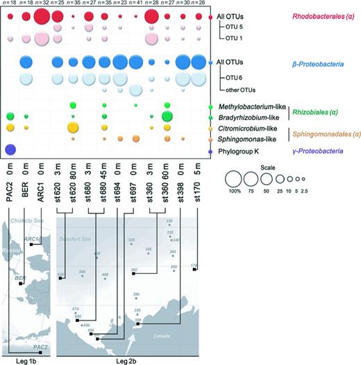 Relative abundance of phylogenetic clusters in samples from the North Pacific waters (leg 1b) to the Beaufort Sea (leg 2b). Numbers of analyzed clones in each library are indicated.