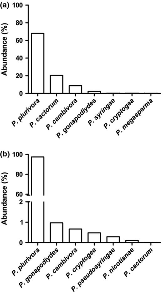 Abundance of Phytophthora species in sites (a) and (b) obtained by biological detection with baiting of soil samples collected during six sample dates in 2009–2010.