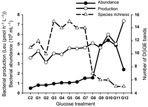 Variations of bacterial community parameters along a glucose concentration gradient. The maximum bacterial abundance and production indicate the highest bacterial biomass accumulation and carbon assimilation rates during the 3-day incubation with different carbon supply. Bacterial species richness is the number of DGGE bands (see Fig. 4 for DGGE patterns). C2, G1–12: glucose additions (for concentrations see Table 1).