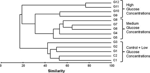 Cluster analysis of bacterial community structure in Batch 1 microcosms revealed by DGGE analysis. C1–2, G1–12: glucose additions (for concentrations see Table 1).