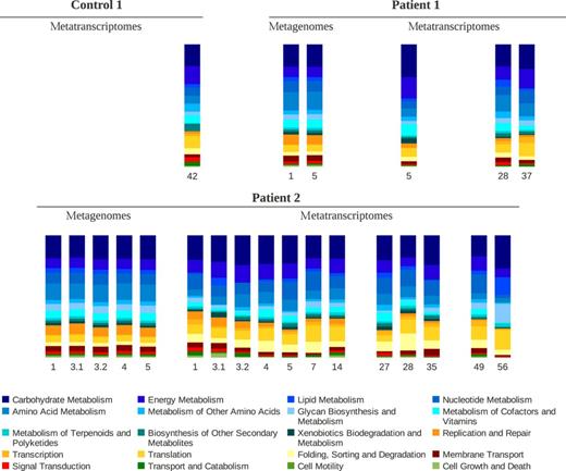 Relative abundance of functional categories in the KEGG pathway hierarchy in samples of Control 1, Patient 1 and Patient 2. Data were generated by functional annotation of protein coding genes and mRNAs. The sampling day is indicated below each column. When there are two samples from a given individual in the same day, these are numbered after the day. Samples with < 200 sequences with an assigned functional role are not shown.