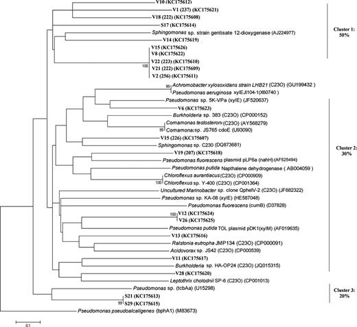Phylogenetic tree of the deduced amino acid sequences of putative C23O gene fragments of the clone libraries from Lake Svarttjärn (S) and Lake Vallentunasjön (V). The tree is based on a neighbor-joining method. Clones are marked in boldface and some of them have TRF fragment size (between brackets) as verified by T-RFLP analysis. Bootstrap values above 50% are expressed as percentages of 1000 replications and indicated at the branch points. Bar, 0.1 nucleotide substitutions per site. GenBank accession numbers of clones and reference sequences are indicated between brackets. Percentage of clones that cluster together is shown at the right side.