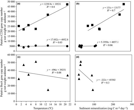 Relationship between aromatic catabolic gene and temperature or sediment mineralization. (a and b) represent the relationship between putative C23O gene and temperature or sediment mineralization in Lake Svarttjärn and Lake Vallentunasjön. (c and d) represent the relationship between putative bssA gene and temperature or sediment mineralization in Lake Svarttjärn. Gene copy number in each temperature was calculated by the average gene copy number of the four depths in each sediment core. The average gene copy number was then divided by wet weight of sediment samples. Putative C23O in Lake Svarttjärn, closed circle; putative C23O in Lake Vallentunasjön, closed square. Putative bssA in Lake Svarttjärn, closed triangle.