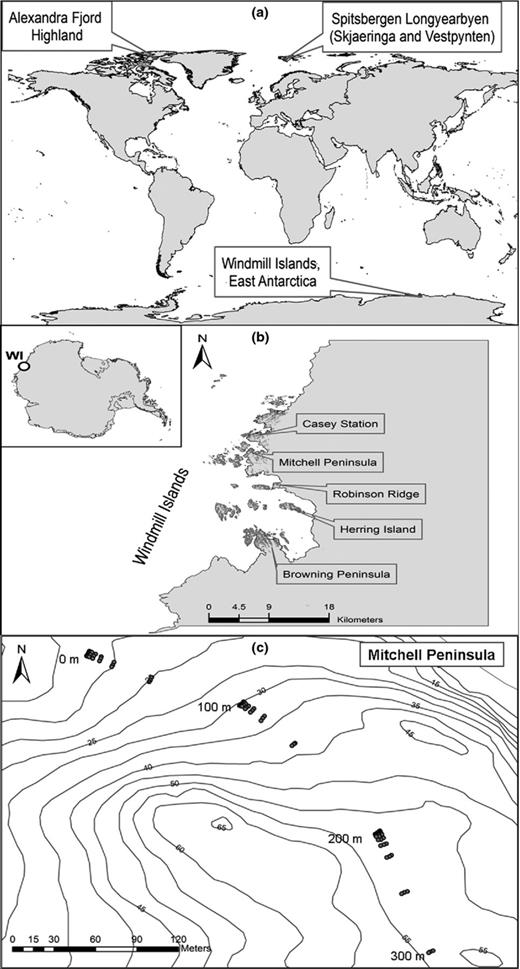 Map of sampling site locations. (a) Global map of the polar sampling sites from the high arctic and East Antarctica. (b) Location of the five East Antarctic sampling sites. (c) Transect and sample locations at Mitchell Peninsula.