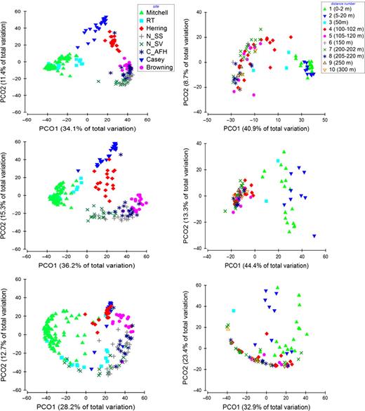 Comparison of the PCO plots generated from the reduced 454 pyrosequencing matrices of OTUs contributing > 1%, > 10% and > 15% of the total abundance. The first three PCO plots represent all samples, separated by sites. The following three plots represent all the samples within the Mitchell Peninsula site, separated by a priori distance groups.