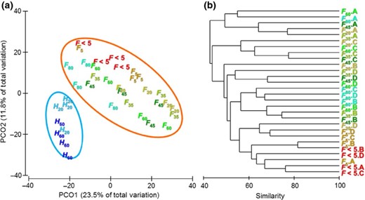 (a) PCoA illustrating the differences in the endosymbiotic methanogens associated with different rumen protozoal fractions obtained from holotrich-monofaunated (H) and totally faunated sheep (F). Big circles indicate the 90% confidential interval. (b) Dendrogram depicting the effect of total protozoa fractionation on their endosymbiotic methanogen populations. Protozoa fractions (F80, F60, F45, F35, F20, F5 and F < 5) were generated by a sequential filtration of rumen fluids from different sheep (A, B, C and D) through nylon meshes with a pore size of 80, 60, 45, 35, 20 and 5 μm, respectively.