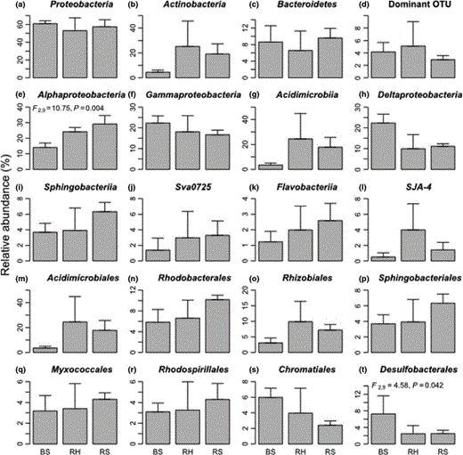 Relative abundance of the most well-represented bacterial taxa: three most abundant phyla (a, b, c), eight most abundant classes (e, f, g, h, i, j, k, l), the eight most abundant orders (m, n, o, p, q, r, s, t) and the most dominant OTU (d) in bulk sediments (BS), Halimione portulacoides rhizosphere (RH) and Sarcocornia perennis ssp. perennis rhizosphere (RS).