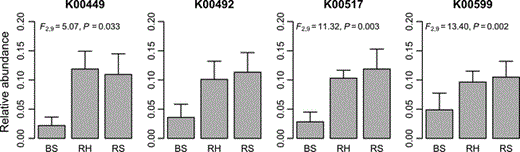 Relative gene count of selected KOs possibly involved in PAH degradation. Samples are represented by symbols (BS, bulk sediment; RH, Halimione portulacoides rhizosphere; RS, Sarcocornia perennis ssp. perennis rhizosphere). KOs enzyme terminology: K00449 - pcaH; K0042 - 1.14.13 (Oxidoreductases); K00517 - E1.14 (Oxidoreductases); K00599 - E2.1.1 (Transferases).