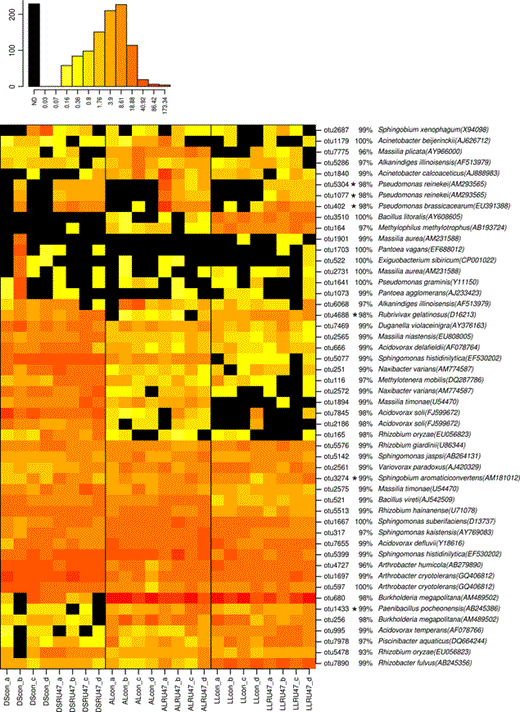 Relative abundance of the most dominant OTUs for lettuce rhizosphere samples detected 2 weeks after planting in 2011. The heatmap indicates differences by an asterisk in the relative abundance of OTUs between RU47 treatment and untreated control. The lettuce was grown in three soil types (DS, AL, LL). Each vertical column represents one sample and each horizontal row depicts one OTU. The color code grades from black (not detected), to yellow (low abundance), to orange (medium abundance) to red (high abundance). Numbers in brackets indicate the NCBI GenBank accession number of the sequence that was most similar to the consensus sequence of each OTU.