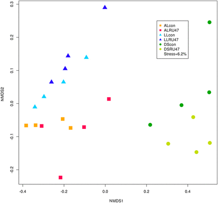 The introduction of the potential biocontrol inoculant Pseudomonas jesseniiRU47 into three soil types at the same field site had a negligible effect on the bacterial community in the rhizosphere of field-grown lettuce.