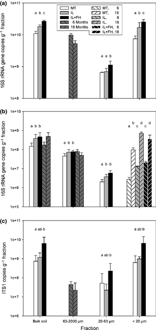 Abundances of Bacteria (a), Archaea (b) and Fungi (c) represented by gene copy numbers obtained by quantitative PCR. Means are displayed in accordance to two-way anova results (Table 2). Error bars represent standard deviation. In the case of mineral composition and interactions, letters indicate significant differences.