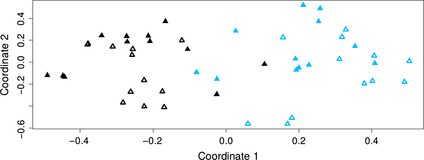 nmds clustering of bacteria associated with the episphere (phyllosphere and rhizosphere) of both Agave species (S= 0.24). Agave salmiana: phyllosphere (empty black triangles) and rhizosphere (full black triangles); Agave tequilana: phyllosphere (empty light blue triangles) and rhizosphere (full light blue triangles).