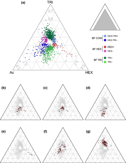 ‘Triangle plot’ of gene relative expression among the three culture conditions. Every gene is represented by a point whose proximity to each of the substrate-labeled corners reflects the relative expression in that growth condition (see ‘Materials and Methods’ for the numerical formula). Genes expressed in a single condition lie close to the corner, whereas those expressed equally in two conditions vs. the third lie close to the triangle sides. Genes not significantly biased in any pair-wise comparison (P > 0.05) are not shown. The small gray triangle shows the position of the main triangle plot in a 1 × 1 × 1 side triangle. (a) Genes of the HEX+, HEX−, TRI+, TRI−, HEX+TRI+, and HEX−TRI− expression categories are highlighted as colored open circles (a). (b–d) Triangles highlight genes of the TRI+ category mapped in the KEGG PATHWAY database as involved in carbohydrate metabolism, amino acid metabolism, and translation, respectively. Genes of the last category were shared between those coding ribosomal proteins (red dots) and those involved in other translation mechanisms (blue dots). (e) Key genes of the HEX+ category. f) Genes annotated as involved in chemotaxis and motility. (g) Genes of the 2-Mb region.