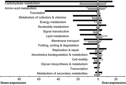 Classification and occurrence of the KEGG terms annotating the genes differentially expressed in biofilms on n-hexadecane and triolein. The annotation terms obtained from the mapping of the genes of the BF HEX (gray box), and the BF COM (open box) and BF TRI (black box) groups in the KEGG pathway/genome database were classified according to their expression profiles (down- or overexpressed). Numbers refer to the number of KEGG annotation terms in each category.