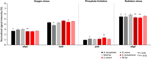 Normalized average signal intensities of gene categories involved in stress. The microbial genes involved in stress response are as follows: ahpC encoding for alkyl hydroperoxide reductase and katE involved in oxygen stress; pstS encoding for a phosphate-binding protein involved in phosphate limitation; obgE encoding for a GTPase involved in radiation stress. Data are presented as the mean ± SE. **P < 0.01, *P < 0.05. ‘Med Sw’ and ‘RS Sw’ stand for Mediterranean and Red Sea seawater.
