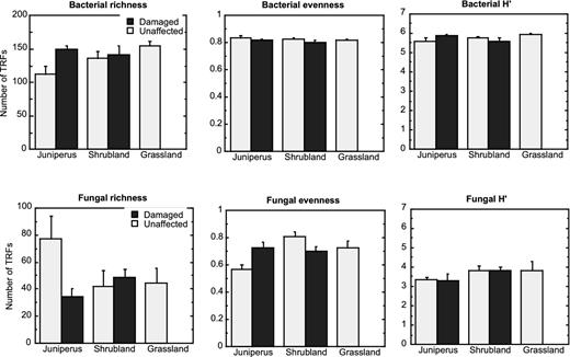 Mean (SE) bacterial and fungal diversity in different vegetation types and with different climate-induced die-off.
