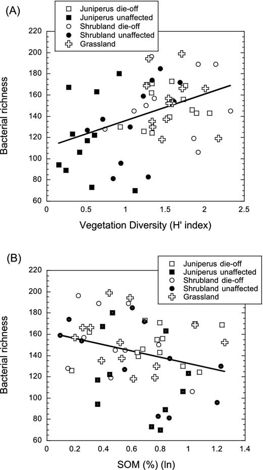 Relationship between bacterial richness (number of TRF peaks) and (A) vegetation diversity estimated as the H′ index and (B) SOM (%) in the five studied habitats. Linear fit for the whole set of data is shown in (a) (r2 = 0.18, P = 0.001) and (b) (r2 = 0.08, P = 0.030).