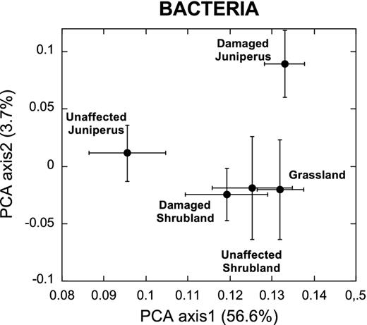 Mean coordinates of the first and second axes of PCAs performed for bacteria TRFs peaks (log-transformed) from the samples of each vegetation type. Error bars indicate SE. Percentage of variability explained by each axe is given in brackets.