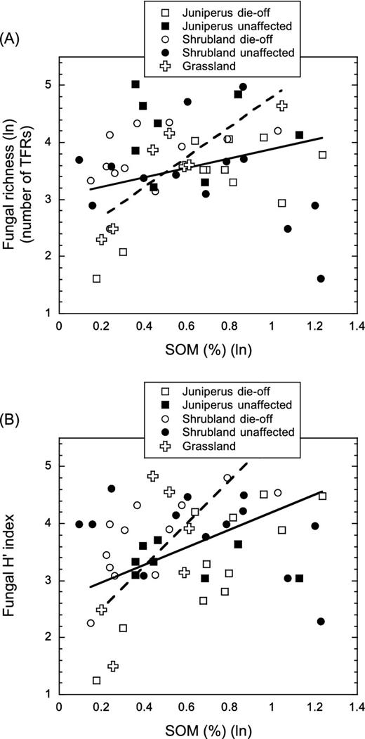 Relationship between fungal diversity and SOM (%): (A) fungal richness (number of TRF peaks) and (B) fungal H′ index, estimated from the area of TRF peaks, and SOM in the five studied habitats. Linear fit for unaffected stands (solid line) (richness, r2 = 0.08, P = 0.210; H′, r2 = 0.09, P = 0.193) and grassland (dashed line) (richness, r2 = 0.75, P = 0.012; H′, r2 = 0.56, P = 0.053) is shown in (a) and (b) to illustrate the results of GLM models (see the text).