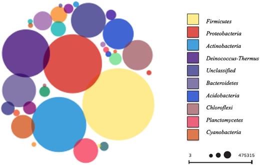 Overview of phyllosphere microbial communities found on 14 different greenhouse plants on phylum level. The size of the spheres indicates the relative abundance of the corresponding phylum; larger spheres indicate higher abundance. Index shows the top 10 most abundant phyla.