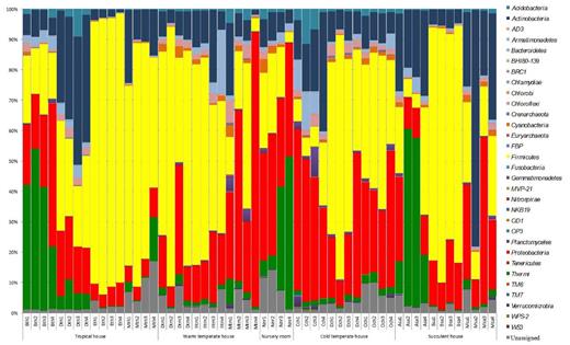 Relative abundance of phyllosphere bacterial community composition from 14 different greenhouse plants (four different replicates each). Bth: Aechmea eurycorymbus, Dth: Dracaena marginata, Eth: Epipremnum aureum, Mth: Musa paradisiaca, Dtm: Dracaena fragrans, Htm: Howea forsteriana, Mtm: Malvaviscus penduliflorus, Nnr: Nephrolepis cordifolia, Cch: Chlorophytum comosum, Dch: Dracaena draco, Och: Olea europaea, Asa: Aloe arborescens, Bsa: Beaucarnea recurvata, Msa: Musa acuminate.
