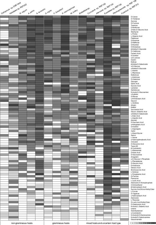 Carbon source utilization of the 15 DSE species gained from BioLog FF MicroPlates assay. The categorized values (0–5) are derived from measurements at 492 nm. Cells are shaded according to the intensity of utilization of the 95 carbon sources of the MicroPlates from zero (null reaction) to five (strongest reaction).