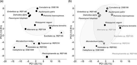 PCA of categorized OD values (0–5) derived from BioLog FF system of the 15 DSE species. PC1 accounts for 33.1% and PC2 for 12.8% of the variation. (a) DSEs of the same orders are surrounded by solid lines. Pleosporalean species are marked by dots, while species belonging to Helotiales, Hypocreales, Eurotiales and Xylariales by diamonds, squares, triangle and inverse triangle, respectively. (b) DSE species of grasses are marked by empty symbols and circled by solid line, DSEs of non-grass hosts are marked by black symbols and circled by dashed line, half black symbols indicates DSEs of mixed hosts, while symbols for species cannot clearly assigned to host types are not shown.