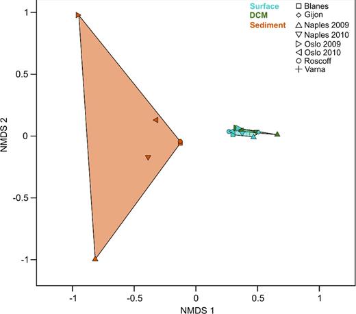 Beta diversity analysis of single sampling events. The NMDS is based on binary-Jaccard distances between protist communities of single samples (NMDS stress level = 0.2). Colors of the data points were chosen with respect to their habitat affiliation. Data points of the same affiliation were linked and the area between the linked points was colored with respect to their habitat affiliation.
