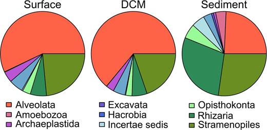 Taxonomic community compositions as revealed by the PR2 database. The pie charts reflect the distribution of OTUs within major protist groups, by pooling the data of all samples from each habitat. The surface dataset included 5747 distinct OTUs, the DCM dataset 5685 distinct OTUs and the sediment dataset 5616 distinct OTUs.
