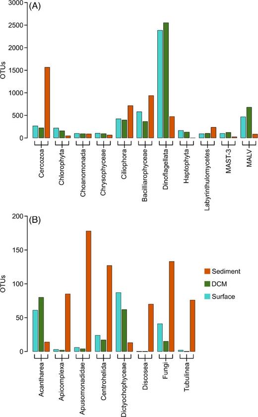 Number of OTUs within taxonomic groups in planktonic and benthic samples. Only groups contributing to at least 1% of the OTU number in either surface, DCM or sediment communities were considered. Note the different scale among the two panels, to display taxonomic groups with more than 200 OTUs in total (A) or with less than 200 OTUs in total (B).