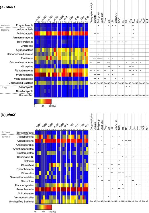 Relative abundance of phoD- (a) and phoX- (b) harboring phyla and their correlation with environmental factors, with P-values <0.05, <0.01 and <0.001 indicated by *, ** and ***, respectively.