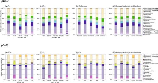 Average relative abundance of phoD-harboring phyla depending on (a) Pres (b) Porg (c) soil group, (d) geographical origins and land use, and of phoX-harboring phyla depending on (e) TOC (f) Porg (g) pH and (h) geographical origins and land use.