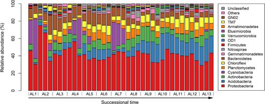 Bacterial phyla distribution along the chronosequence.